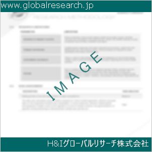 グローバルリサーチ調査資料のイメージ